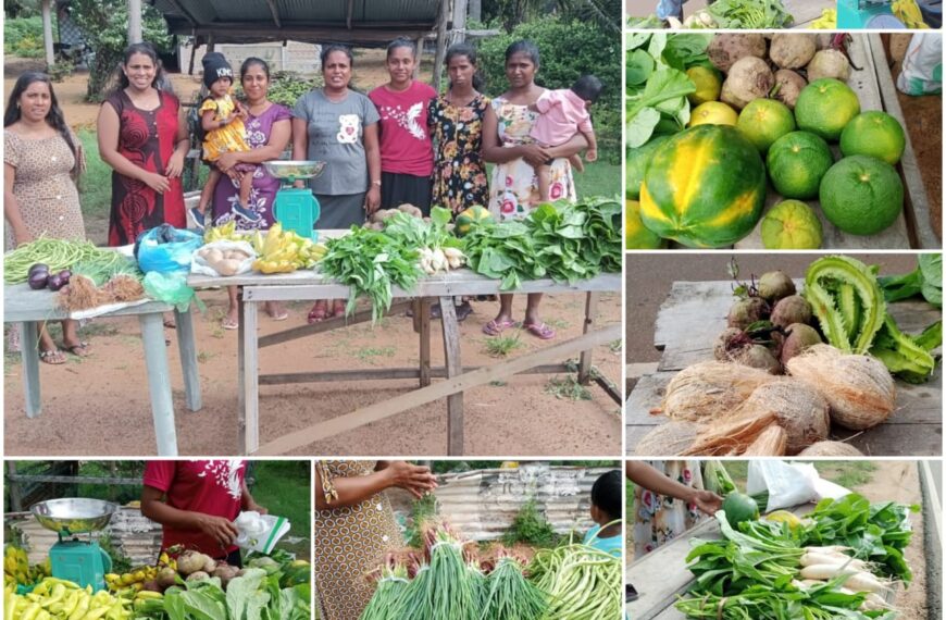 දරුවන්ගේ සතුට වෙනුවෙන් කැපවුණු දෙමාපියන් පිරිසක් 