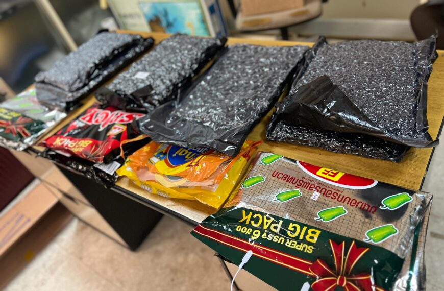 හත් කෝටි අනූ ලක්ෂයක් වටිනා ” කුෂ්” මත්ද්‍රව්‍ය රැගෙන ආ විදේශික තරුණයෙකු අත්අඩංගුවට 