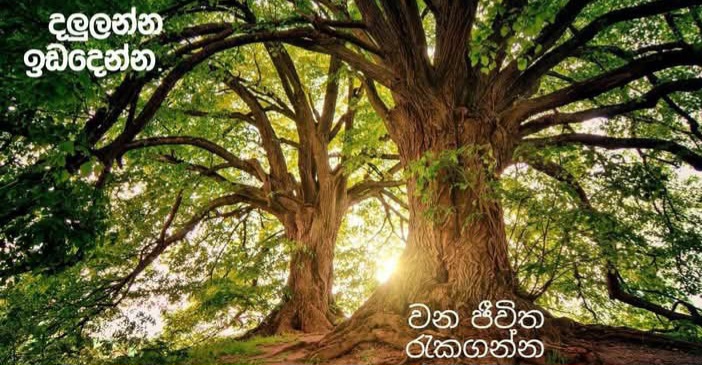 නව රක්ෂිතයන් පහක් ප්‍රකාශයට පත් කෙරේ