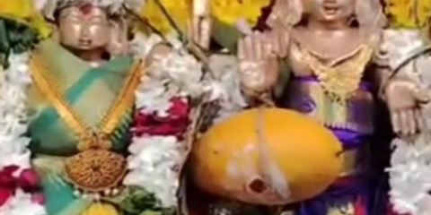 කෝවිලේ පූජා භාණ්ඩ වෙන්දේසියේදී අඹ ගෙඩි දෙකක් ලක්ෂ අටකට ආසන්න මුදලකට