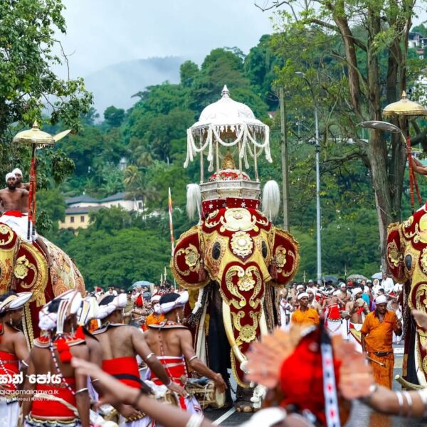 ශ්‍රී දළදා මාලිගාවේ වාර්ෂික පොසොන් පෙරහැර වීදි සංචාරය කෙරේ 
